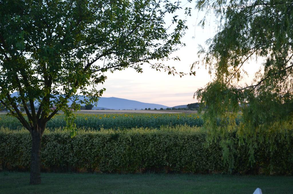 Agrialbergo Capalbio